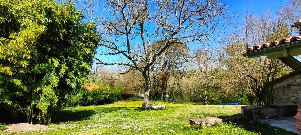 Entre Galets Apartamento Sauveterre-de-Bearn Exterior foto